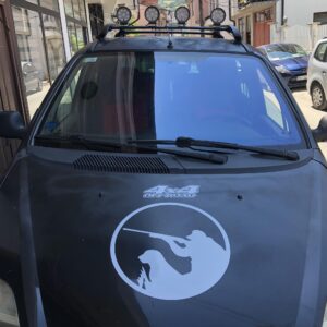 377594265_1034490527985424_6563549096786384684_n